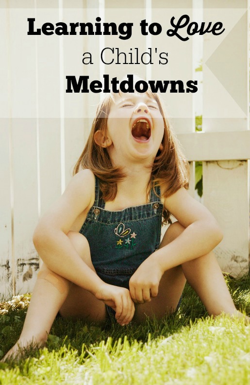 Learning to Love a Child's Meltdowns